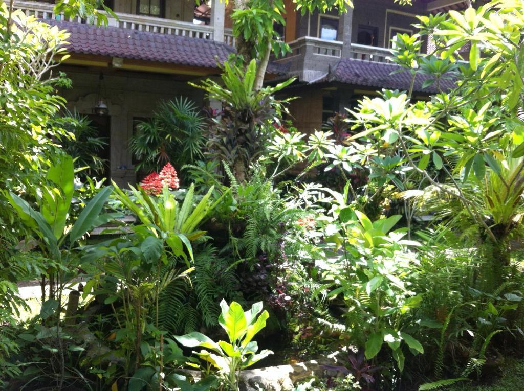 Karang Mesari * Ubud