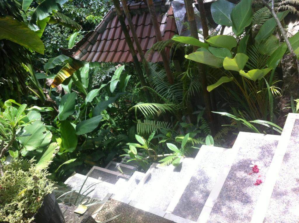 Karang Mesari Wisma tamu Ubud (Bali)