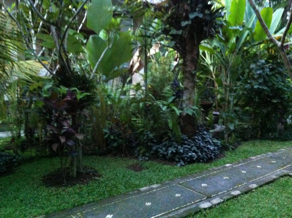 Wisma tamu Karang Mesari Ubud (Bali)